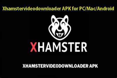 porno xamster|Porno Porn Videos